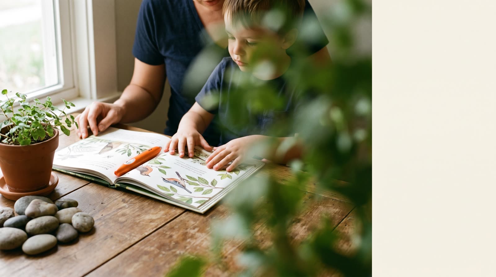 How do I choose new talking picture books about science and nature to expand vocabulary?