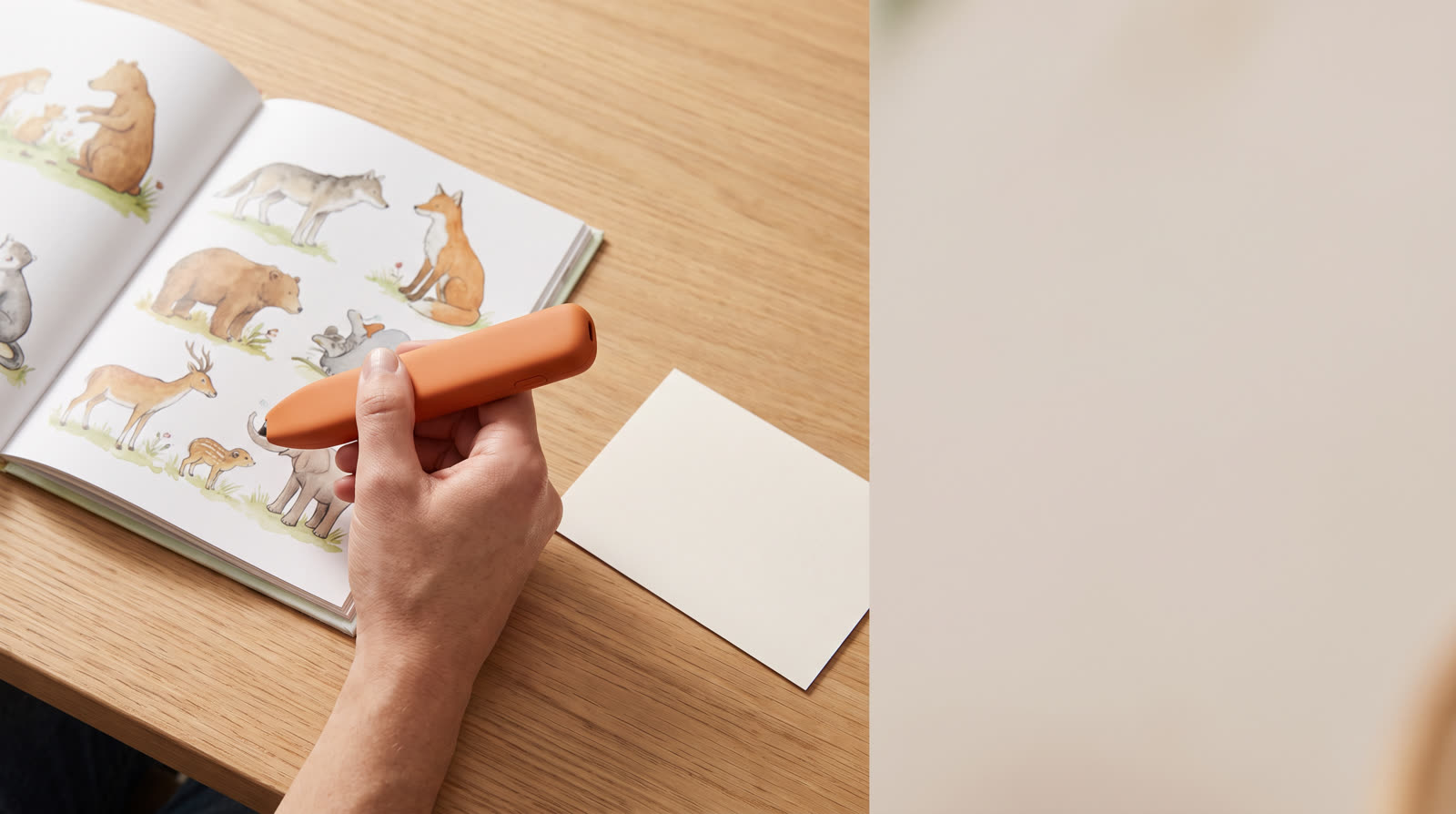 How much should I spend on a replacement reading pen?